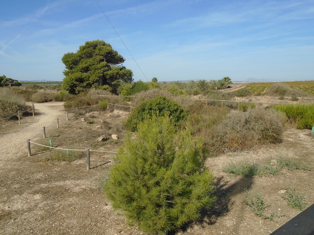 Lagunas de la Mata y Torrevieja