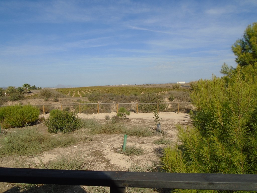 Lagunas de la Mata y Torrevieja