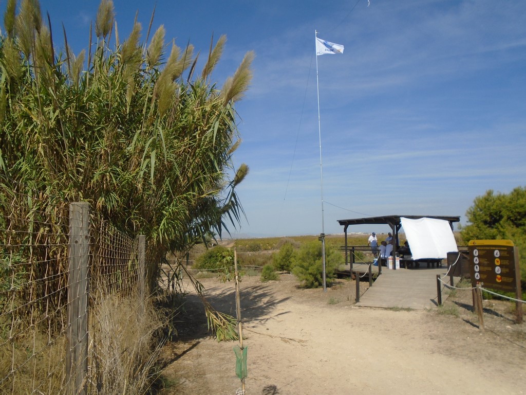 Lagunas de la Mata y Torrevieja