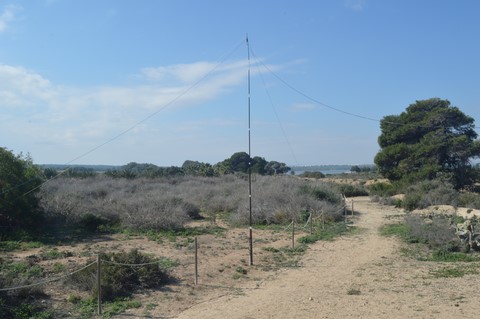 la mata torrevieja eaff-1856