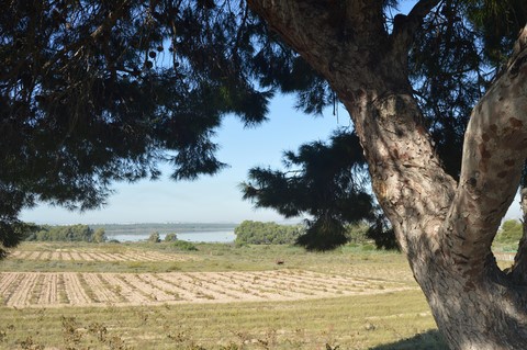 Parque Natural Lagunas de la Mata y Torrevieja