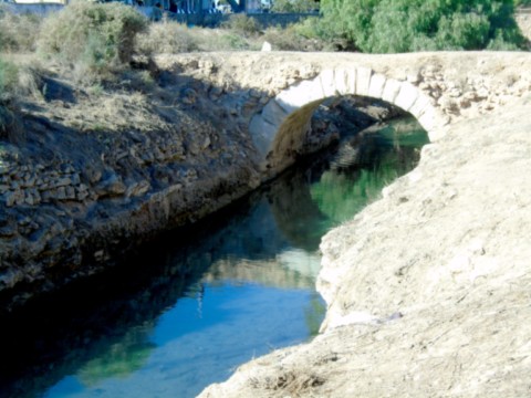 Canal Del Acequión MVA-1229