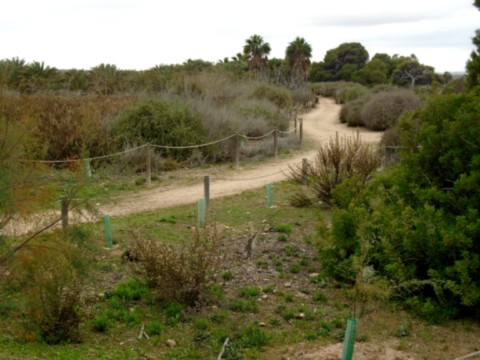 Parc Naturel de La Mata
