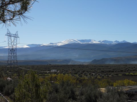 Sierra Nevada