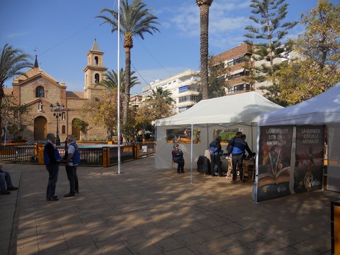 plz de la constitución en torrevieja