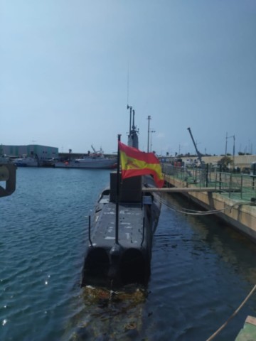 Delfin S-61