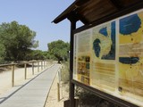 Lagunas de la Mata y Torrevieja