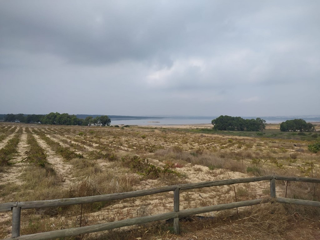 Parc Naturel de la Mata et Torrevieja