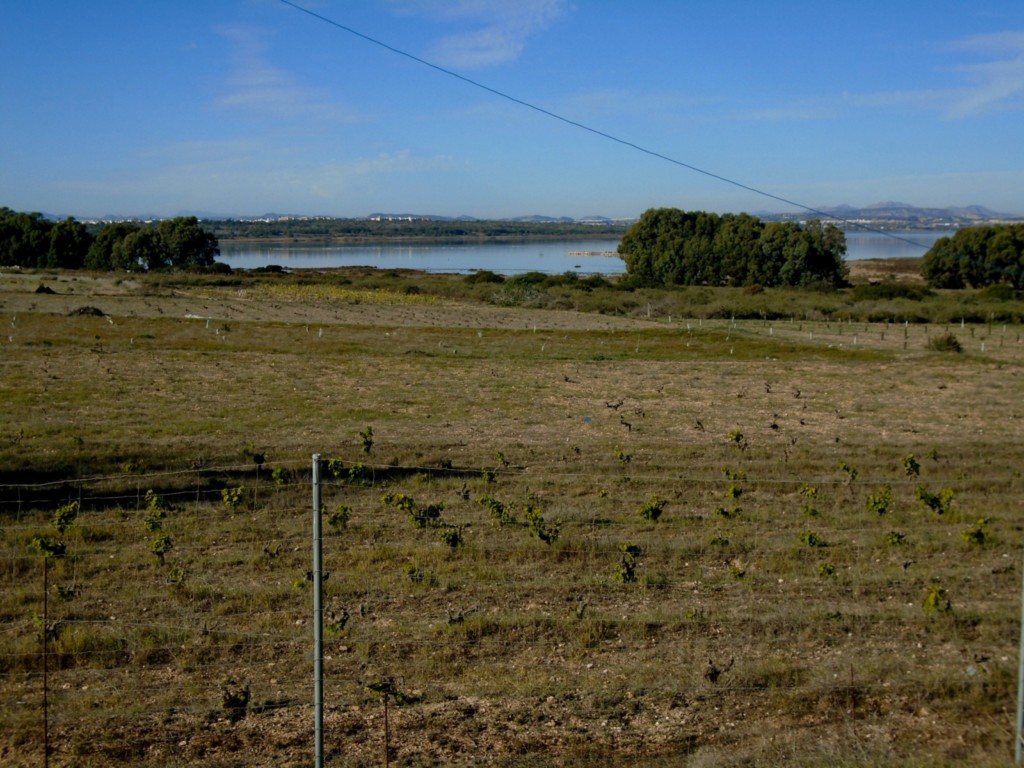 Parque Natural de Las Lagunas de la Mata