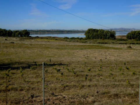 Parque Natural de Las Lagunas de la Mata