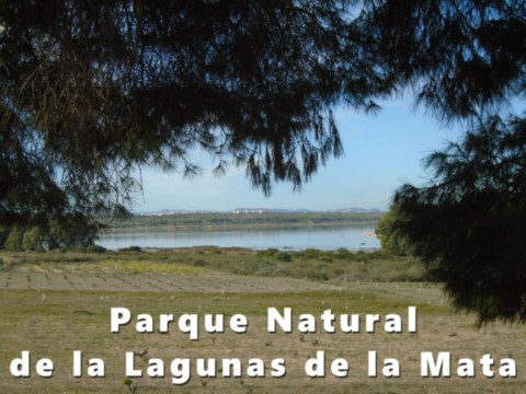 Parque Natural de Las Lagunas de la Mata