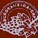 logo Bordeaux DX Group